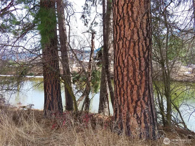 $199,950 | 8 Highway 21, Lind, WA 99341