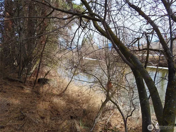 a backyard of a house with lots of trees