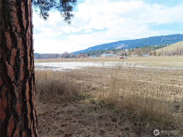 a view of lake with mountain