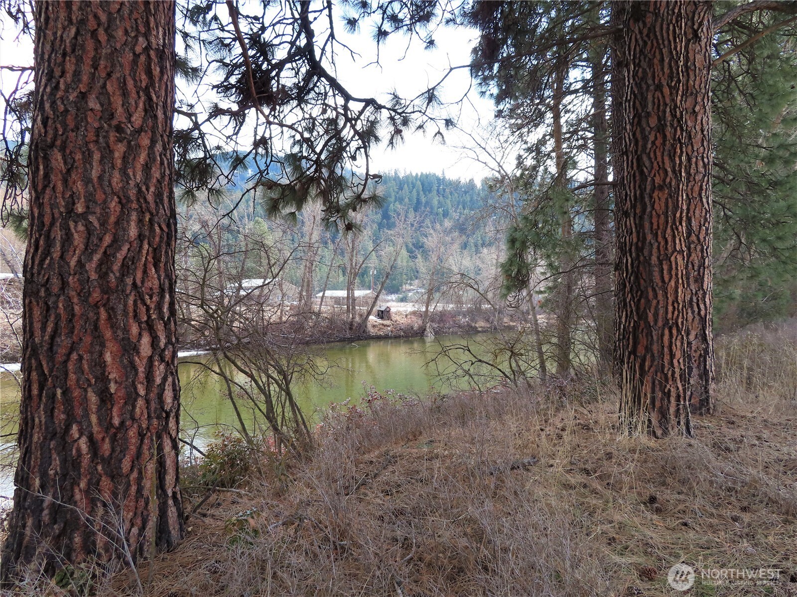 8 Highway 21 Lind, WA 99341 - Photo 25 of 30