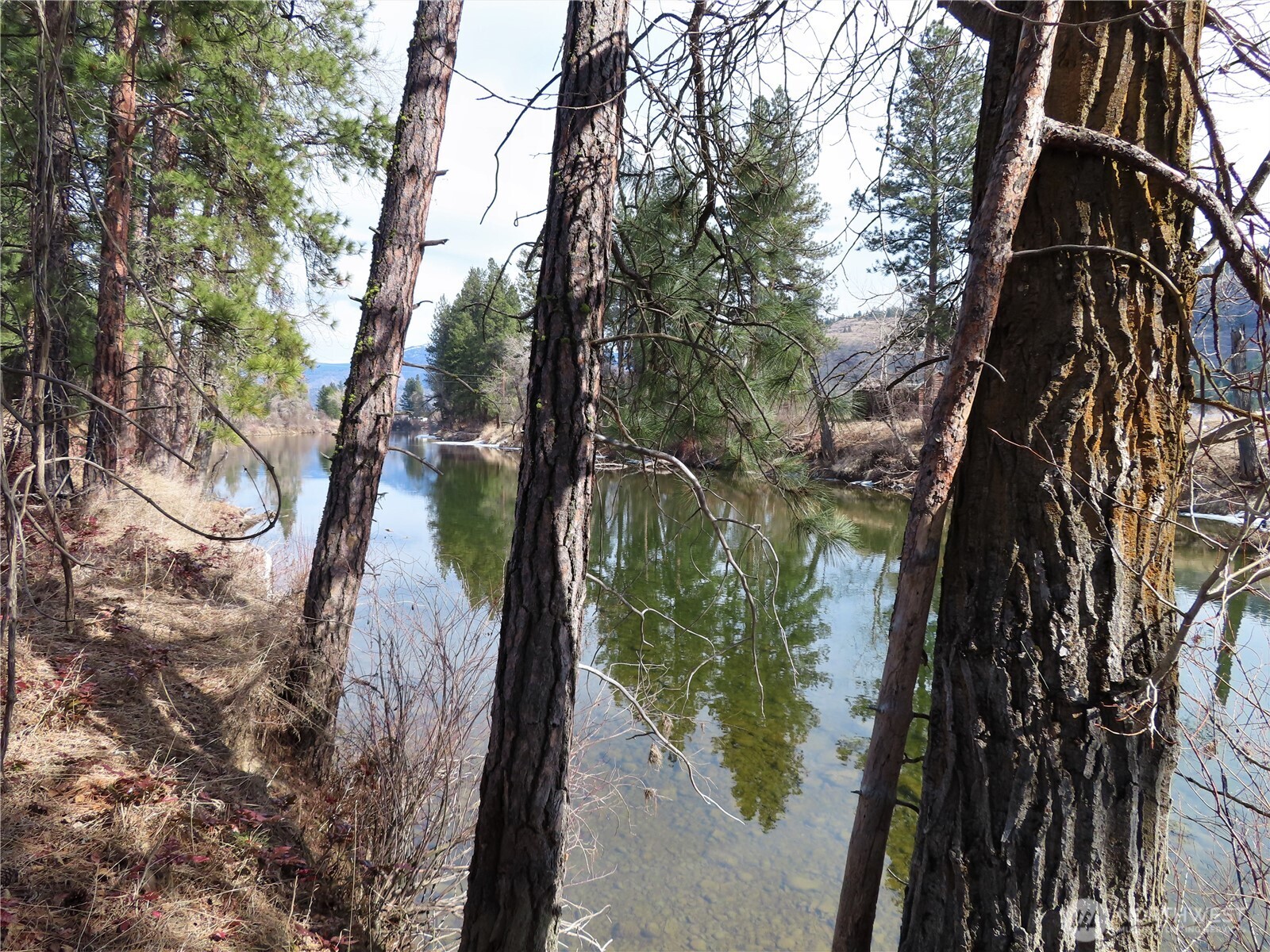 8 Highway 21 Lind, WA 99341 - Photo 28 of 30