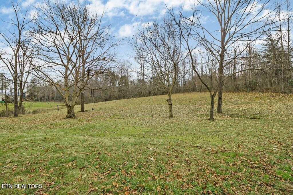 660 East Rock Quarry Road Clarkrange, TN 38553 - Photo 31 of 39