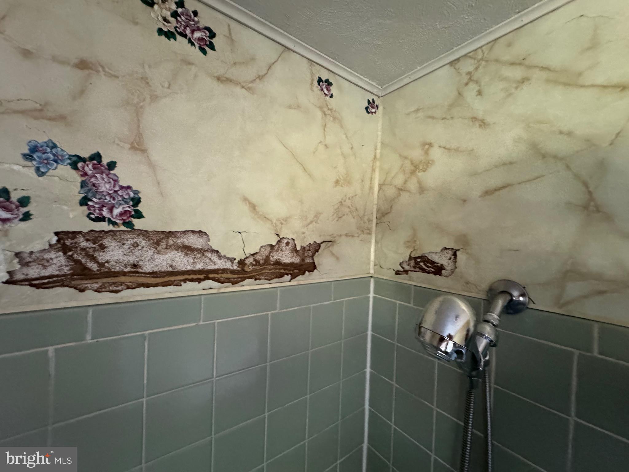 17990 Henderson Road Marydel, MD 21649 - Photo 11 of 24 a bathroom with a shower