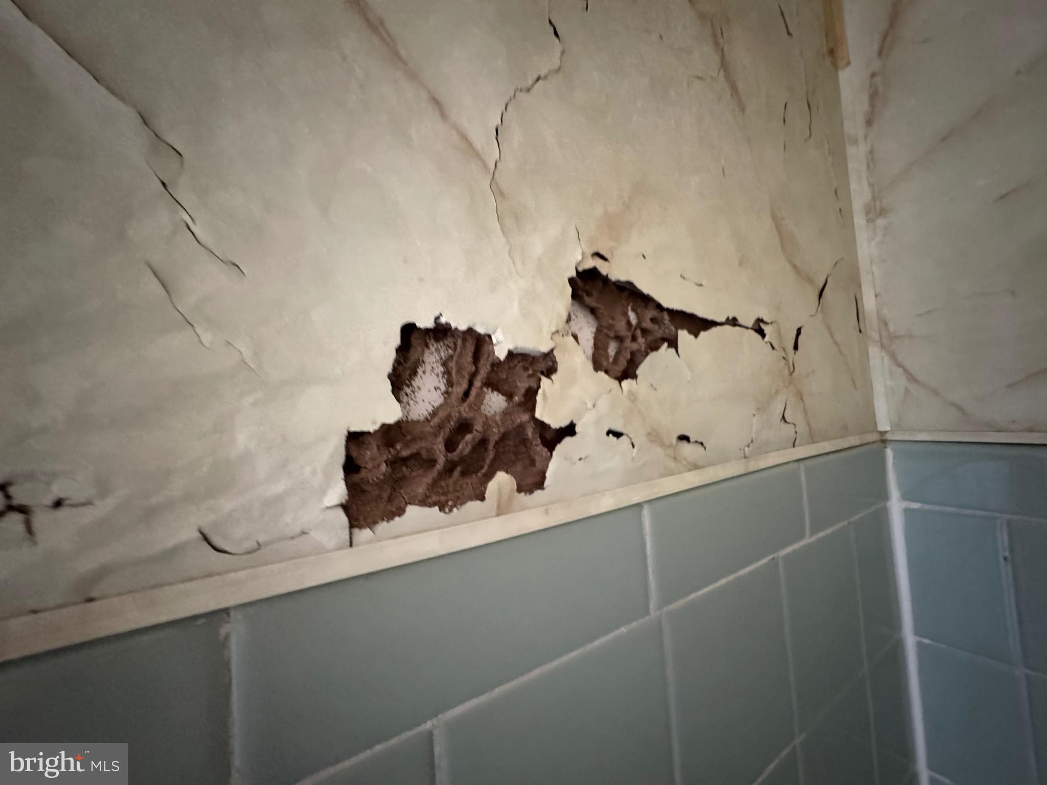 17990 Henderson Road Marydel, MD 21649 - Photo 12 of 24 a bathroom with a sink and mirror