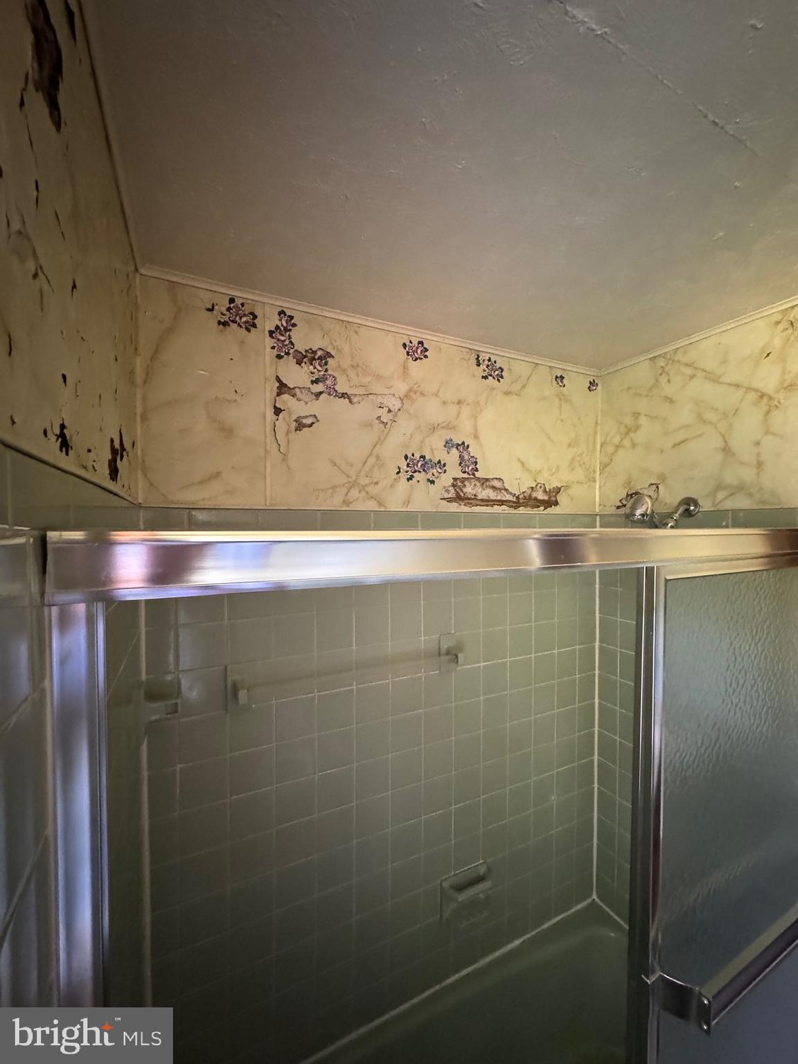 17990 Henderson Road Marydel, MD 21649 - Photo 13 of 24 a bathroom with a shower and a sink