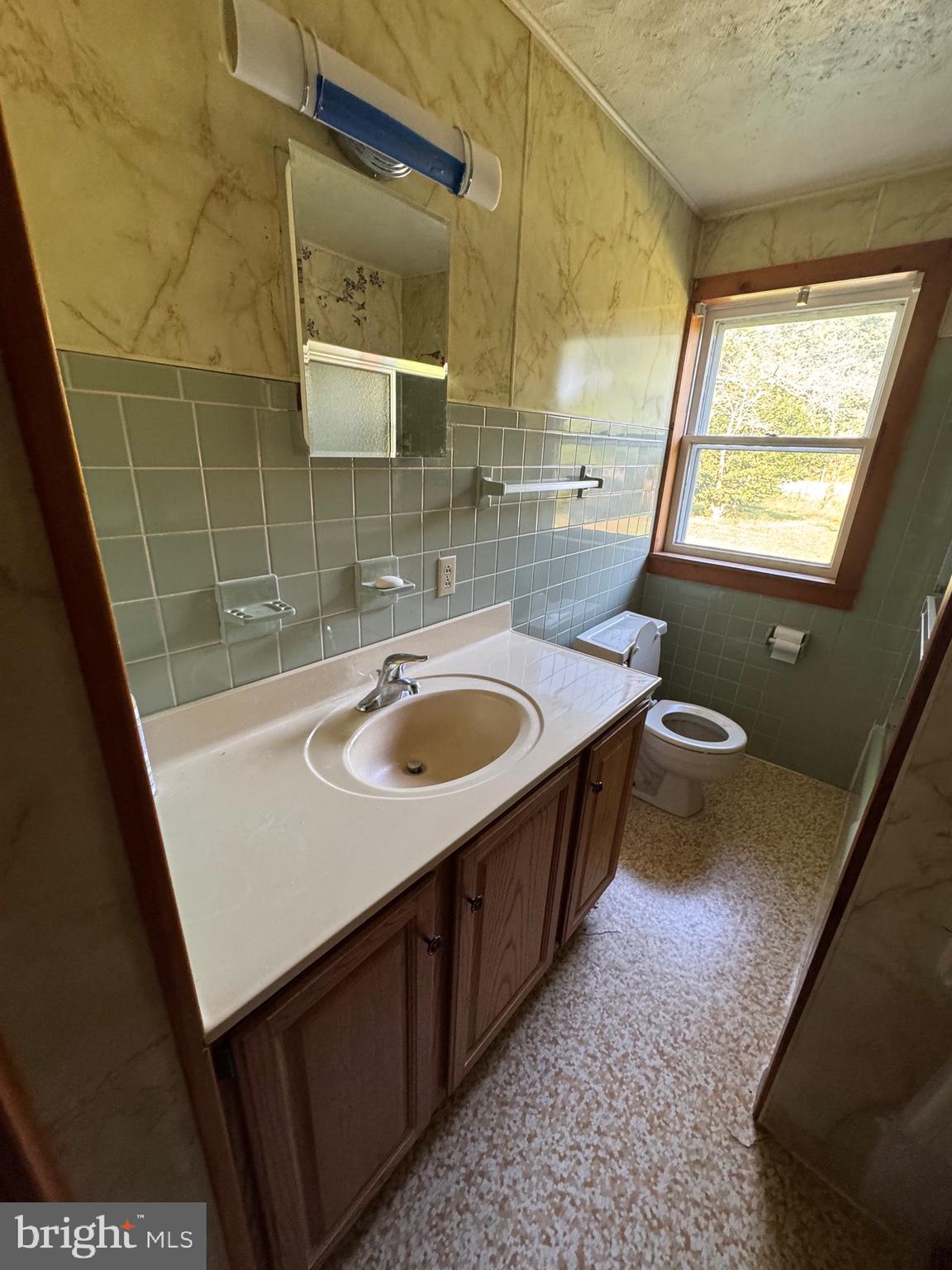 17990 Henderson Road Marydel, MD 21649 - Photo 16 of 24 a bathroom with a sink a mirror and a bathtub