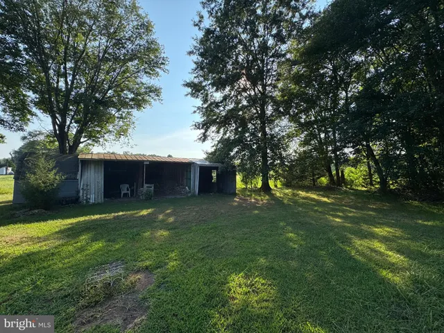 a view of a backyard with large trees