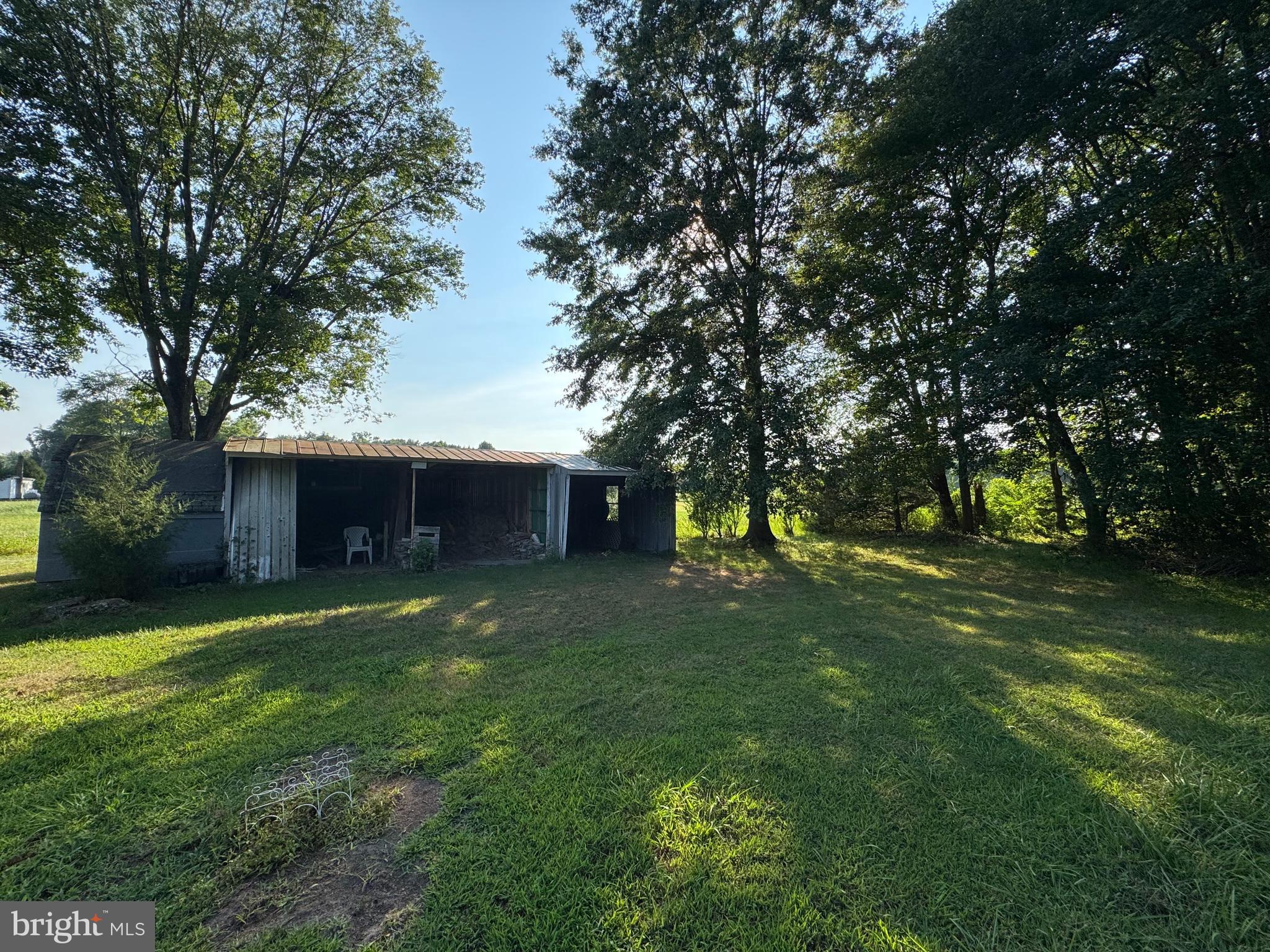 17990 Henderson Road Marydel, MD 21649 - Photo 4 of 24 a view of a backyard with large trees