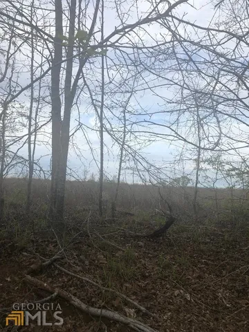 $35,000 | 0 Crabapple Drive, Hawkinsville, GA 31036