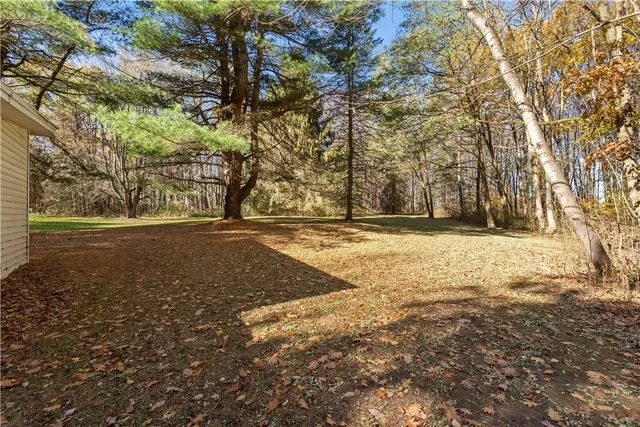 $109,900 | 8387 Carney Hollow Road, Springwater, NY 14572