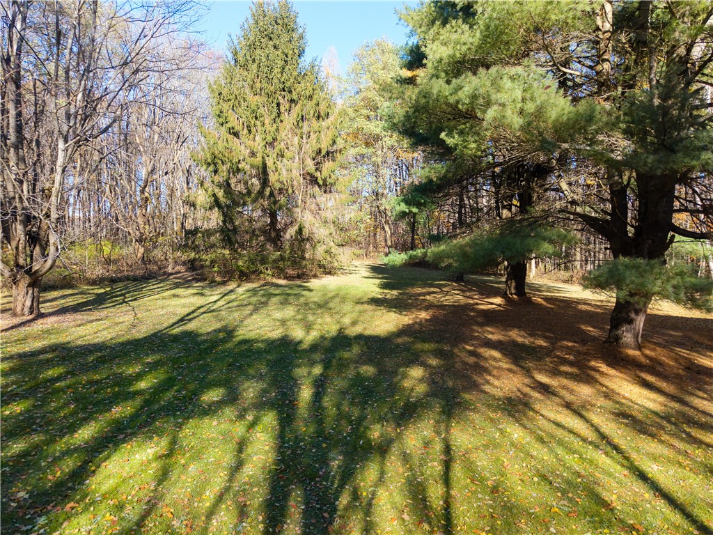 8387 Carney Hollow Road Wayland, NY 14572 - Photo 19 of 29