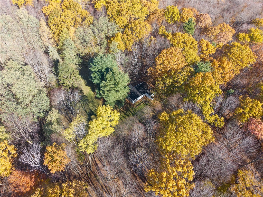 8387 Carney Hollow Road Wayland, NY 14572 - Photo 2 of 29