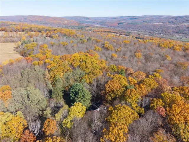 $109,900 | 8387 Carney Hollow Road, Springwater, NY 14572