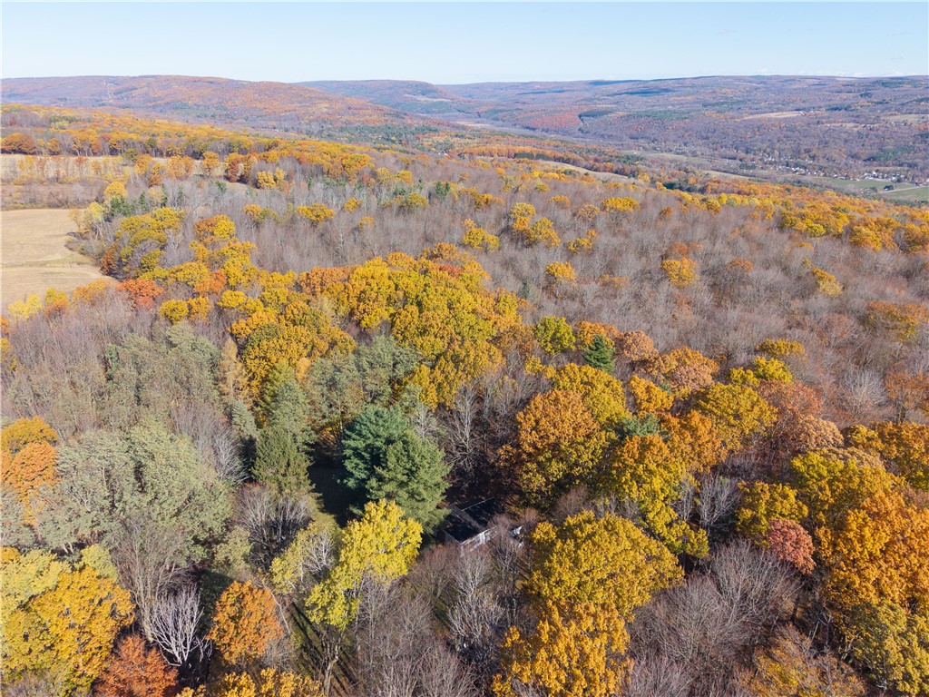 8387 Carney Hollow Road Wayland, NY 14572 - Photo 21 of 29