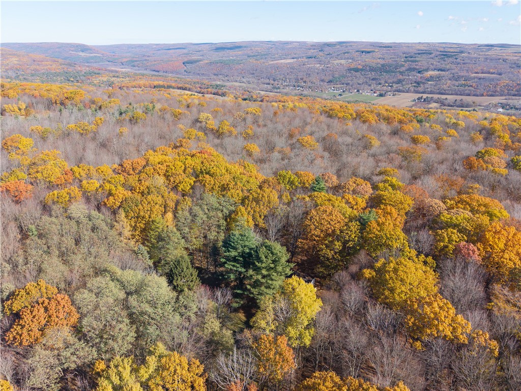 8387 Carney Hollow Road Wayland, NY 14572 - Photo 22 of 29