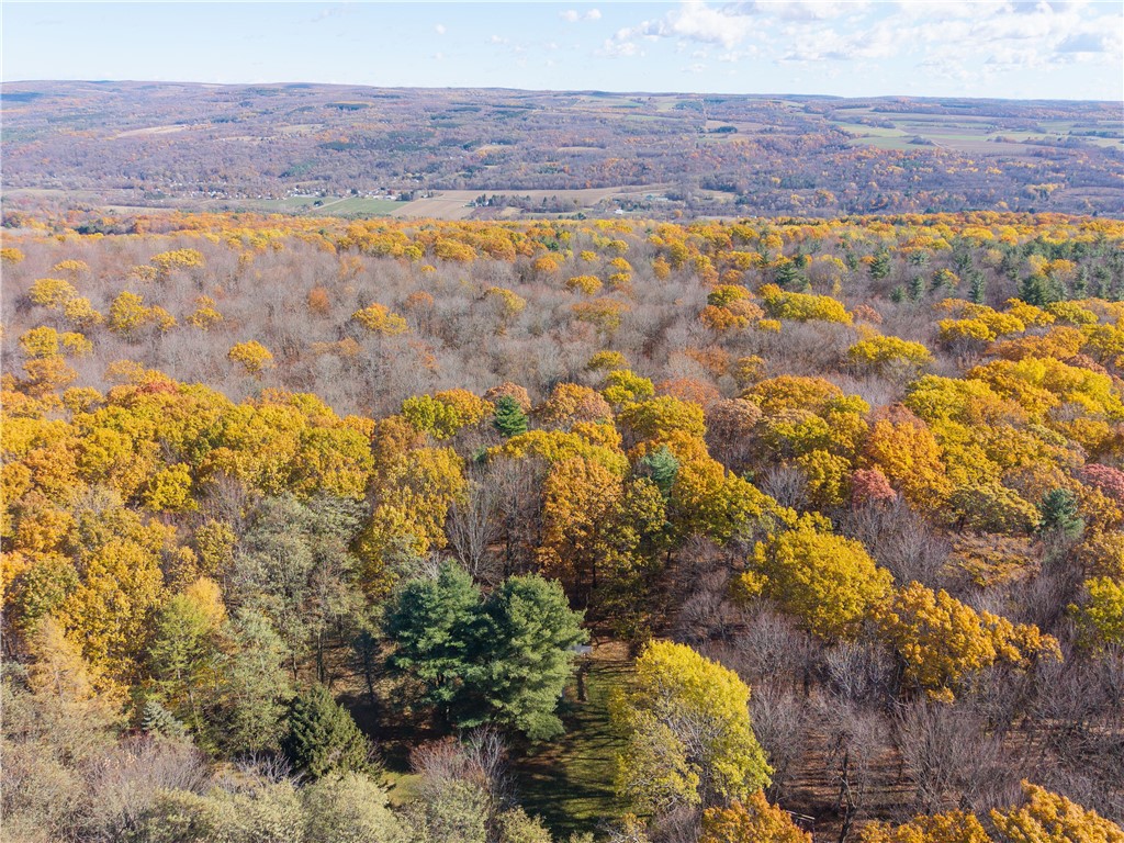 8387 Carney Hollow Road Wayland, NY 14572 - Photo 23 of 29