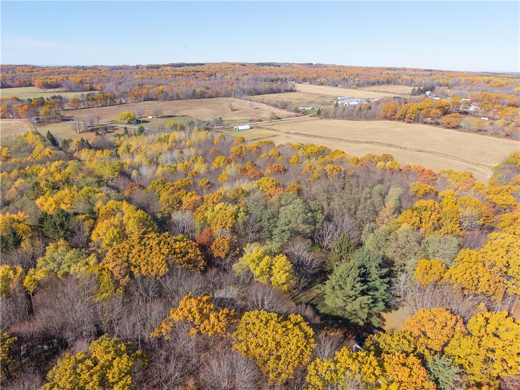 8387 Carney Hollow Road Wayland, NY 14572 - Photo 24 of 29