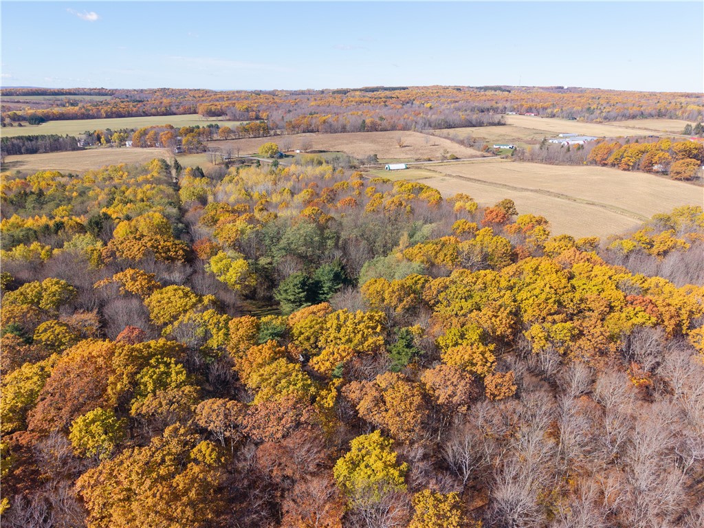 8387 Carney Hollow Road Wayland, NY 14572 - Photo 25 of 29