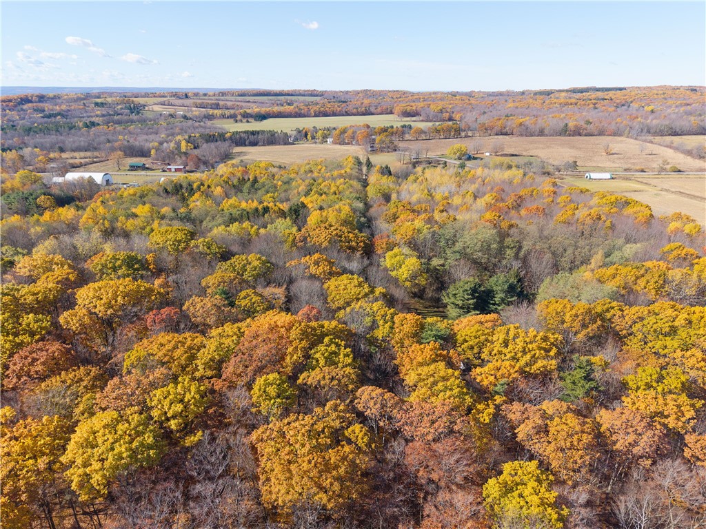 8387 Carney Hollow Road Wayland, NY 14572 - Photo 26 of 29