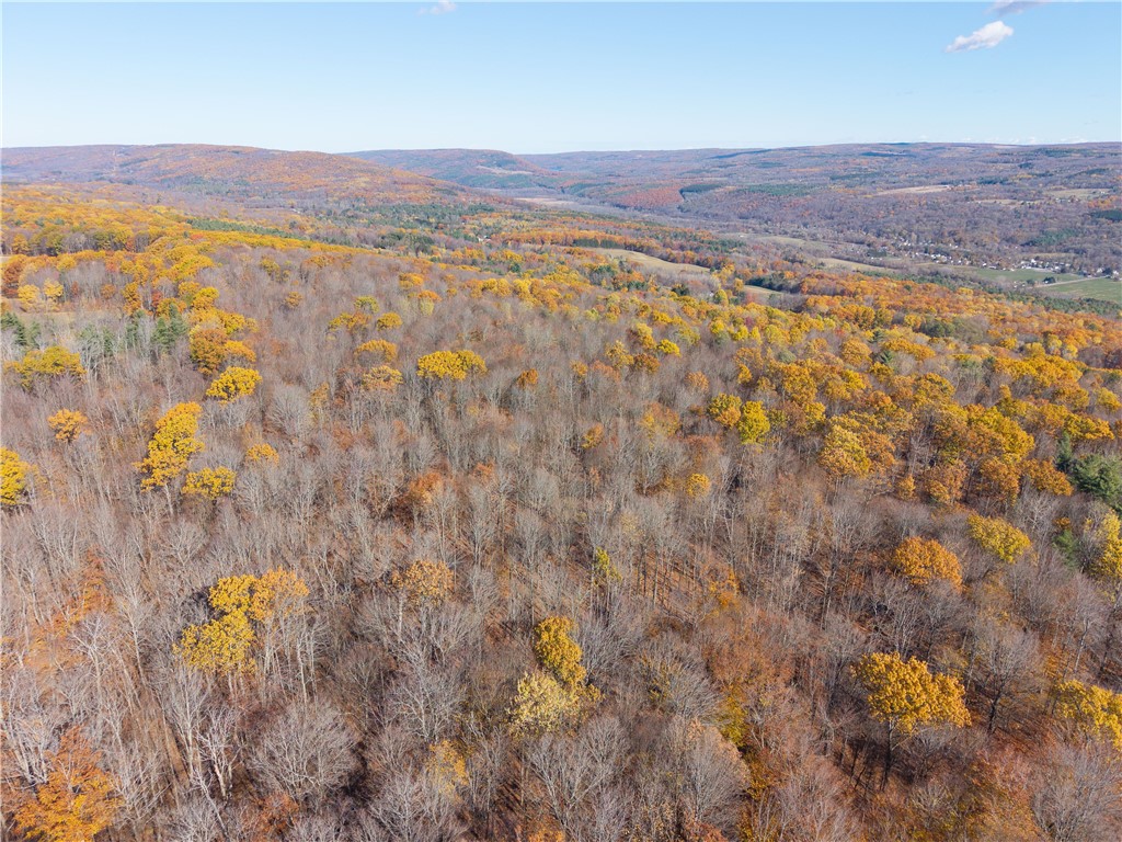 8387 Carney Hollow Road Wayland, NY 14572 - Photo 27 of 29