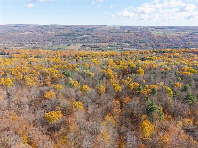 $109,900 | 8387 Carney Hollow Road, Springwater, NY 14572