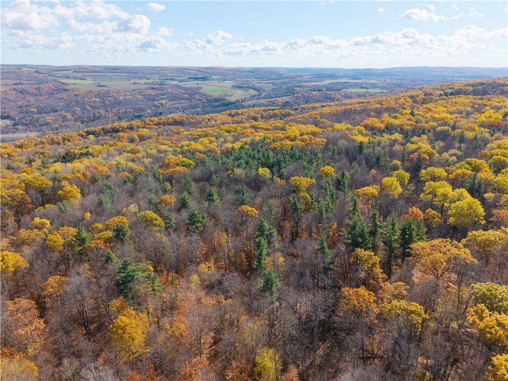 8387 Carney Hollow Road Wayland, NY 14572 - Photo 29 of 29