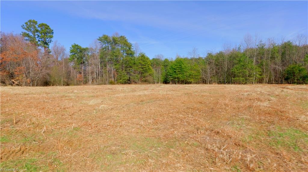 3803 Rockford Road Dobson, NC 27017 - Photo 12 of 39