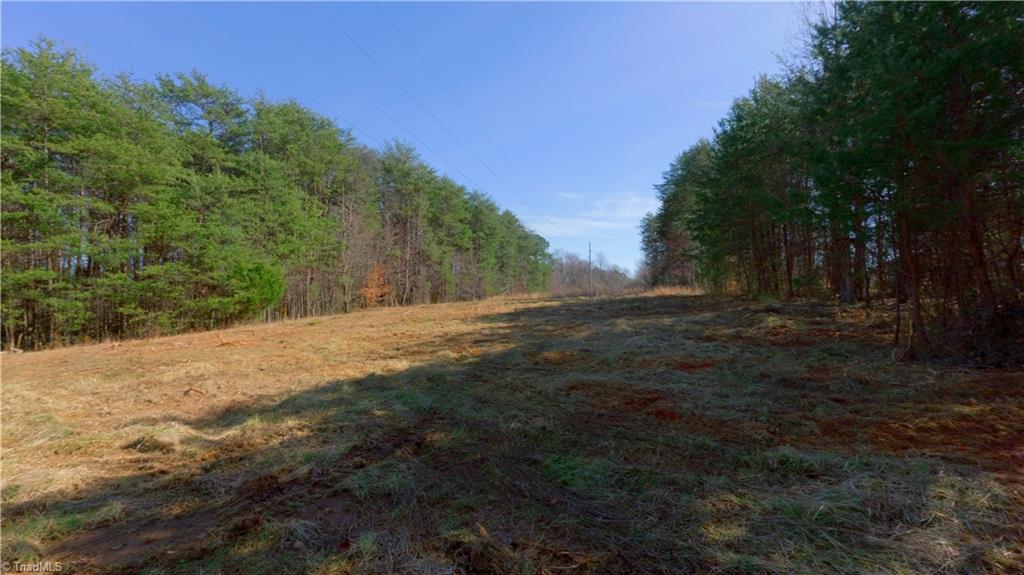 3803 Rockford Road Dobson, NC 27017 - Photo 14 of 39