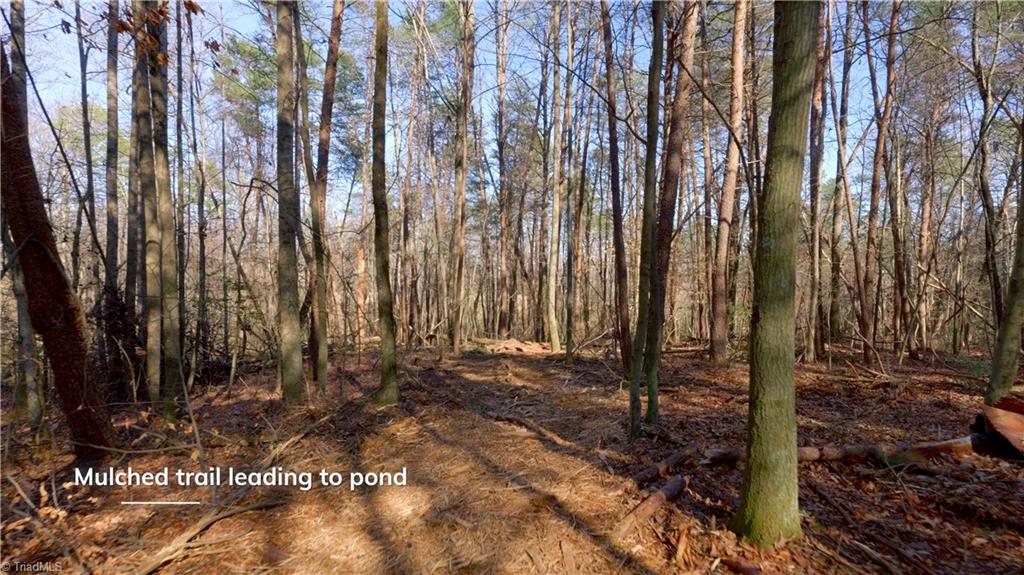 3803 Rockford Road Dobson, NC 27017 - Photo 17 of 39