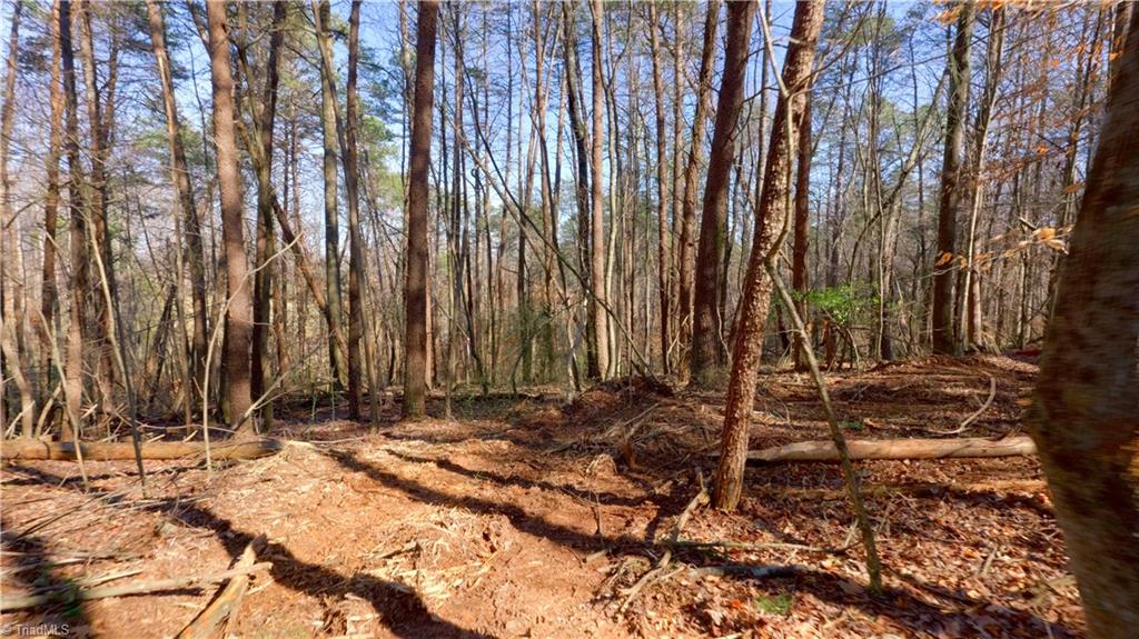 3803 Rockford Road Dobson, NC 27017 - Photo 18 of 39