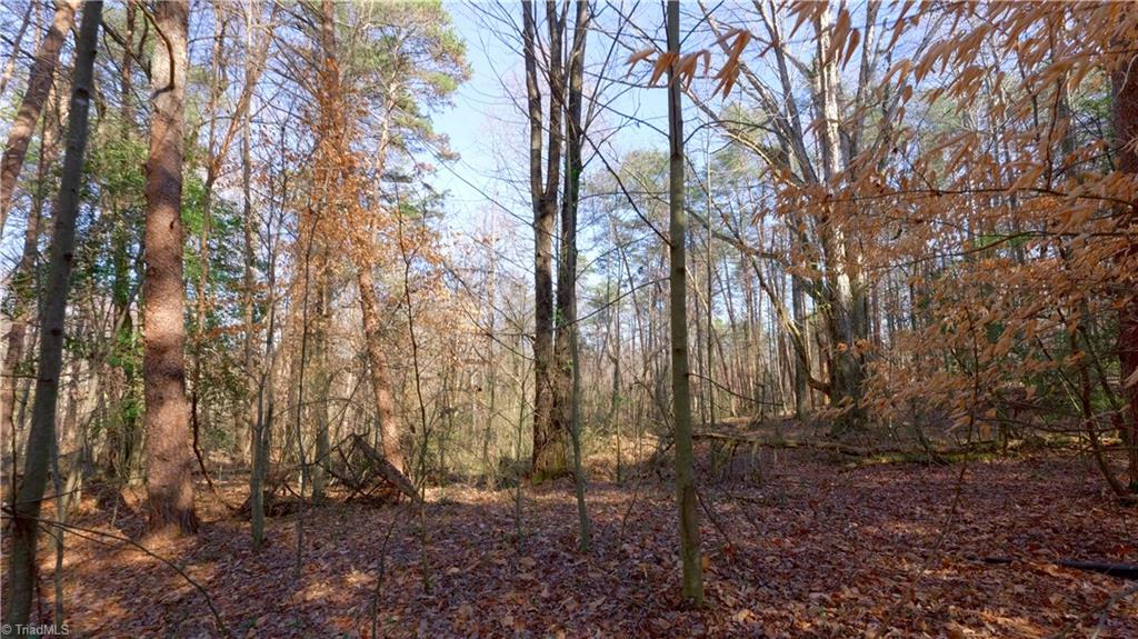 3803 Rockford Road Dobson, NC 27017 - Photo 19 of 39