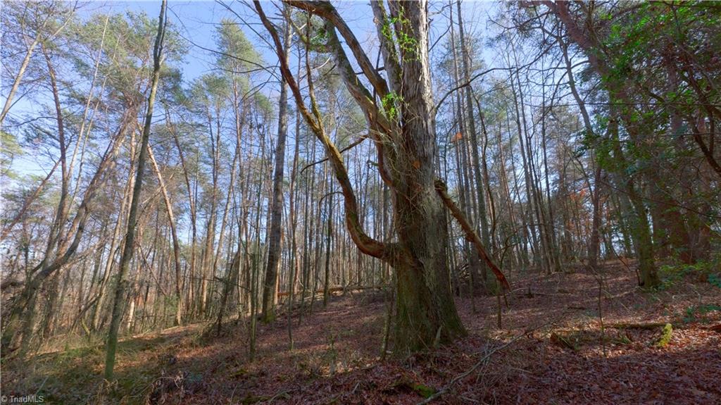 3803 Rockford Road Dobson, NC 27017 - Photo 20 of 39