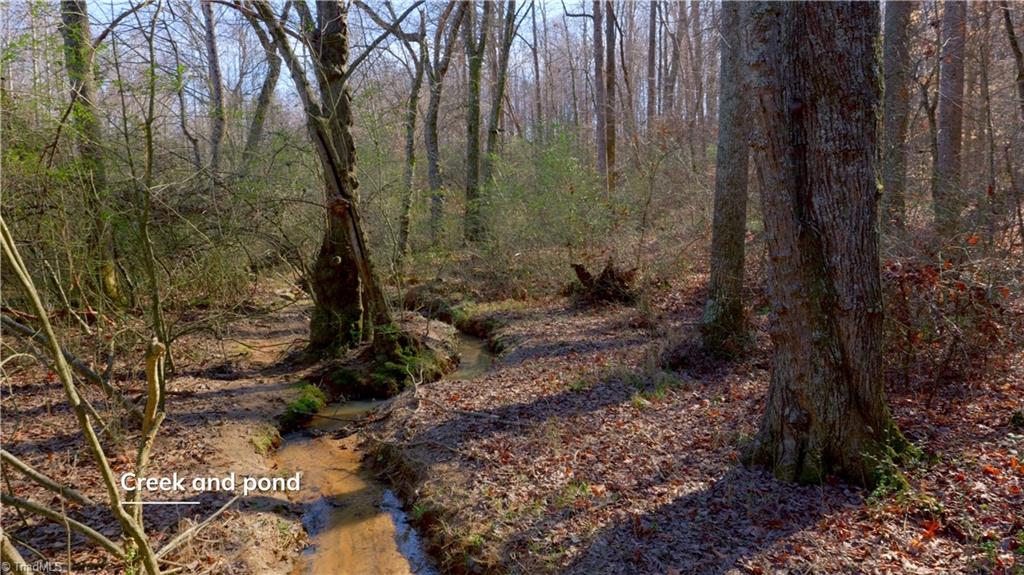 3803 Rockford Road Dobson, NC 27017 - Photo 21 of 39