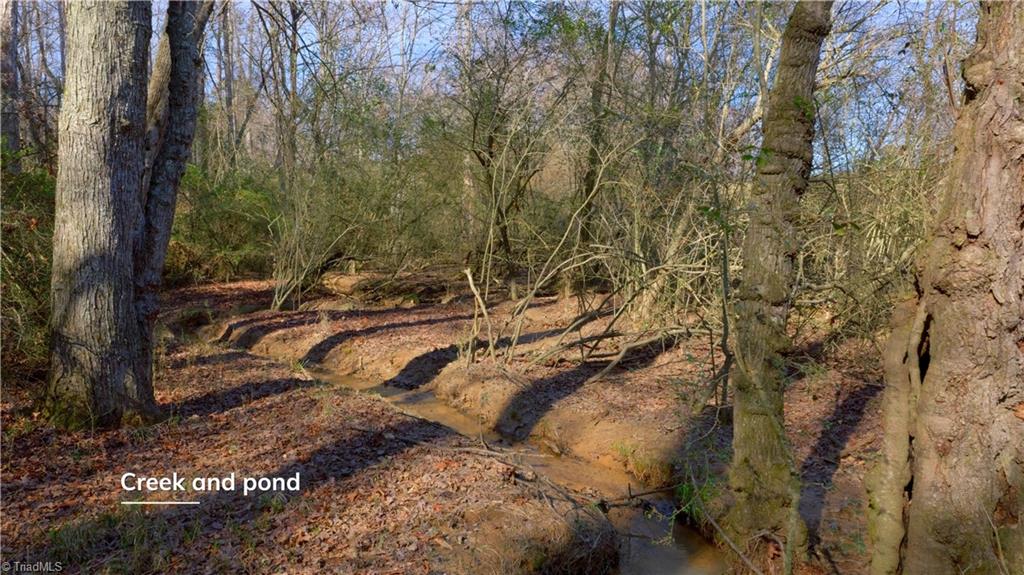 3803 Rockford Road Dobson, NC 27017 - Photo 22 of 39