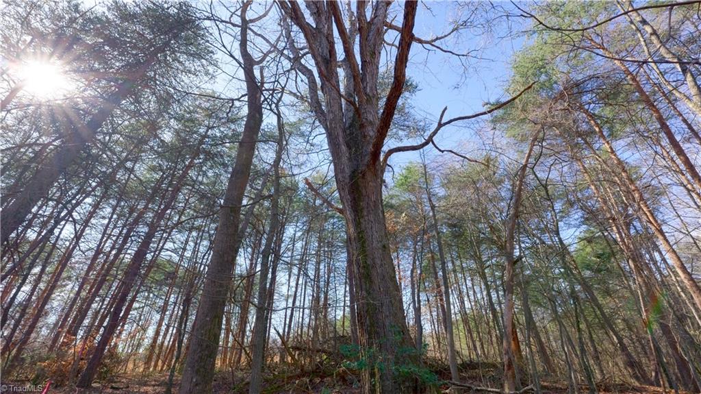 3803 Rockford Road Dobson, NC 27017 - Photo 23 of 39