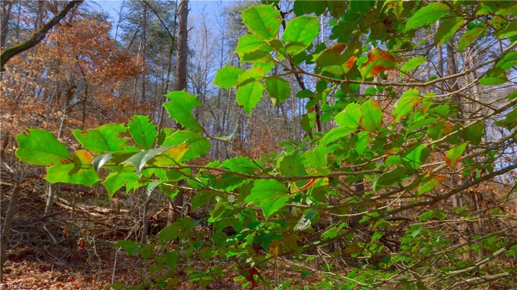 3803 Rockford Road Dobson, NC 27017 - Photo 24 of 39