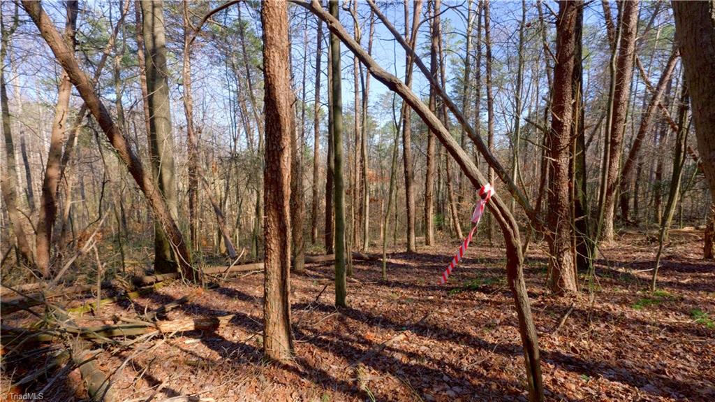 3803 Rockford Road Dobson, NC 27017 - Photo 27 of 39