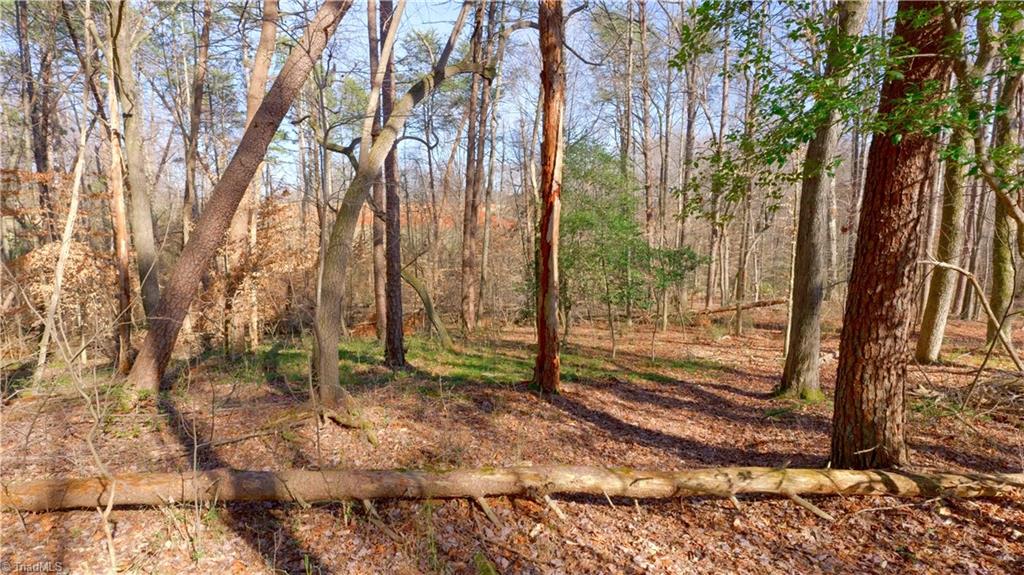 3803 Rockford Road Dobson, NC 27017 - Photo 28 of 39