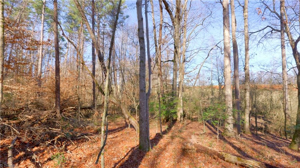 3803 Rockford Road Dobson, NC 27017 - Photo 29 of 39