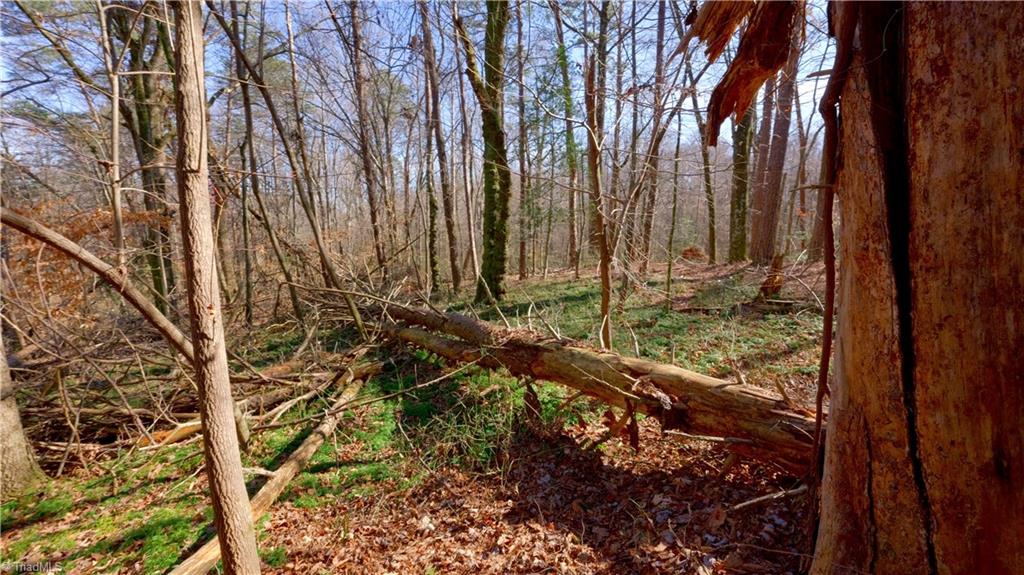 3803 Rockford Road Dobson, NC 27017 - Photo 30 of 39