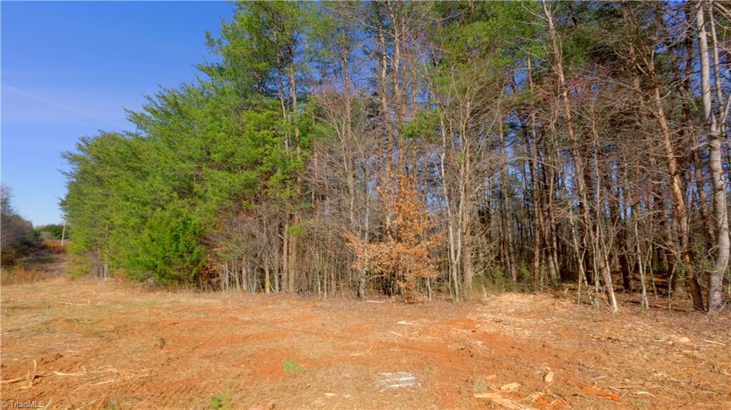 3803 Rockford Road Dobson, NC 27017 - Photo 31 of 39