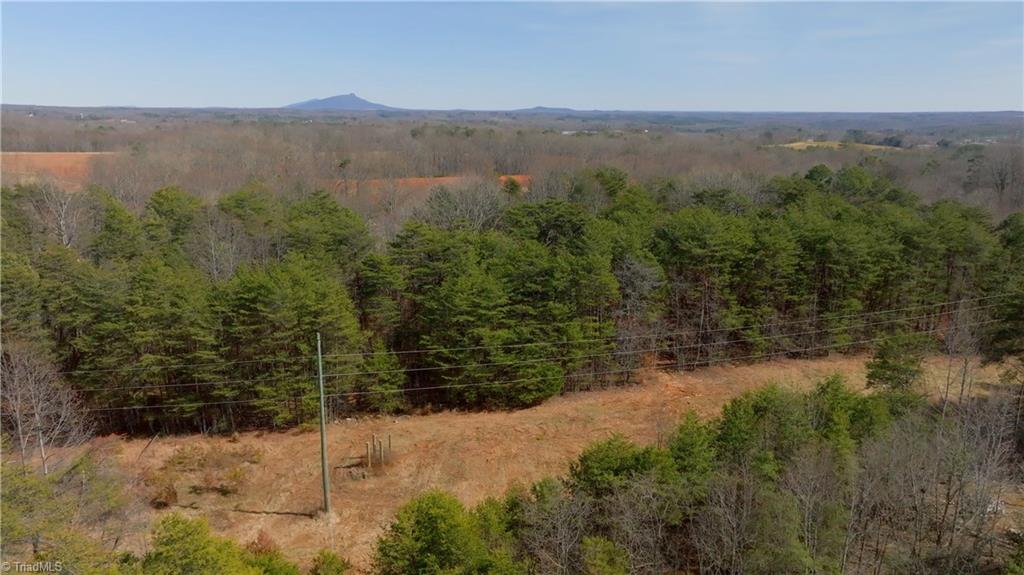 3803 Rockford Road Dobson, NC 27017 - Photo 7 of 39