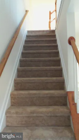 a view of a field with a tree