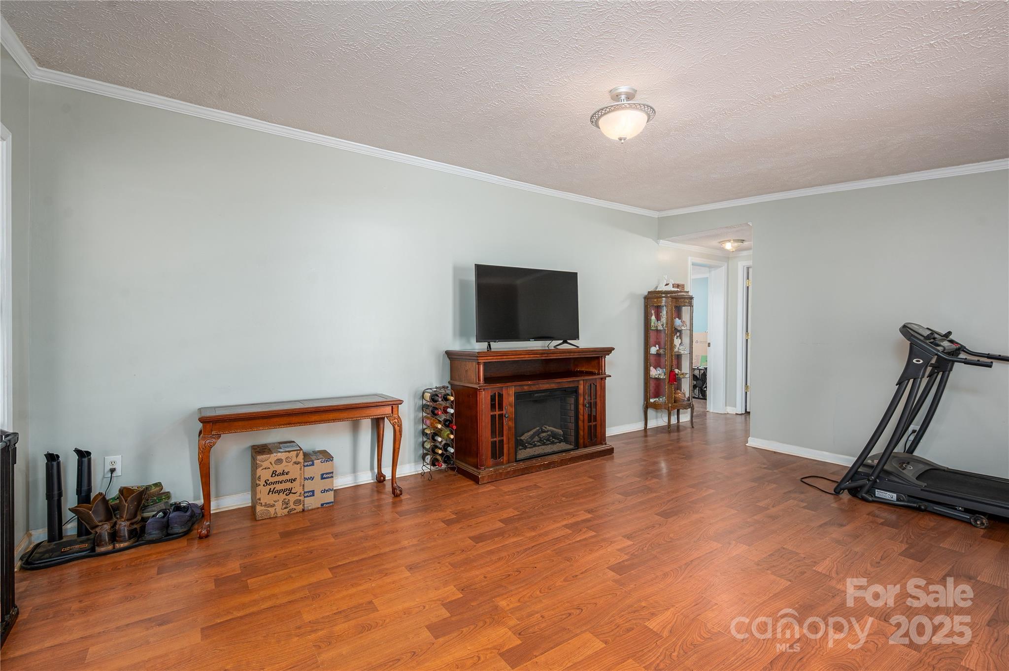 6636 Old Plank Road Stanley, NC 28164 - Photo 4 of 22 a living room with furniture a flat screen tv and a fireplace