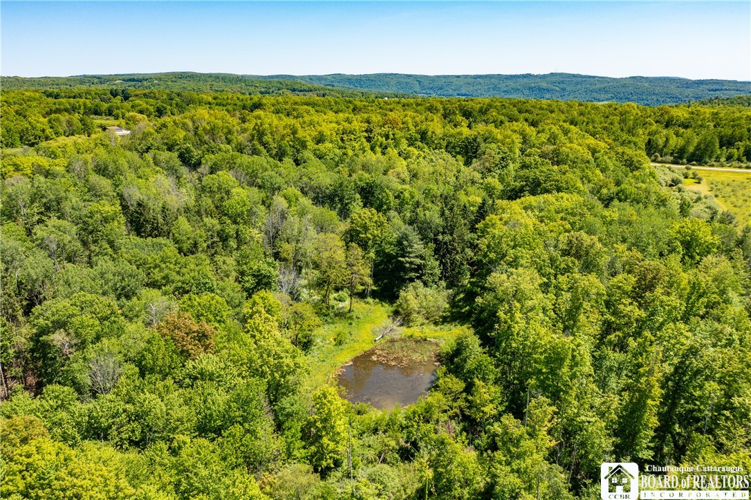 532 Eccles Road Kennedy, NY 14747 - Photo 28 of 29