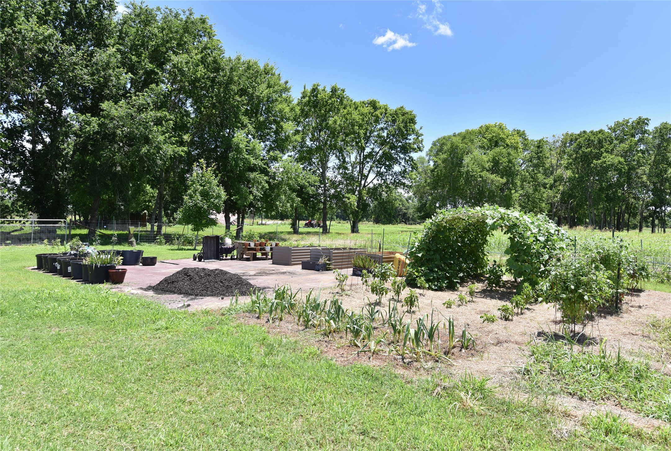 406 County Road 100 Boling, TX 77420 - Photo 47 of 49