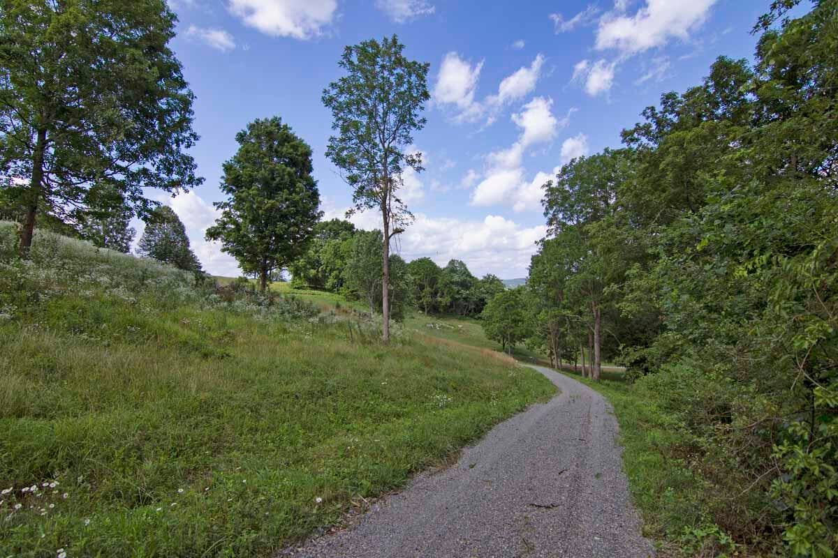 Rich Hollow Road Lewisburg, WV 24901 - Photo 19 of 59 Gallery Image 19