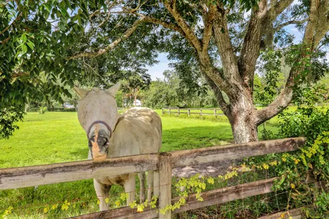 $1,389,000 | 12818 Old Indiantown Road, Jupiter, FL 33478