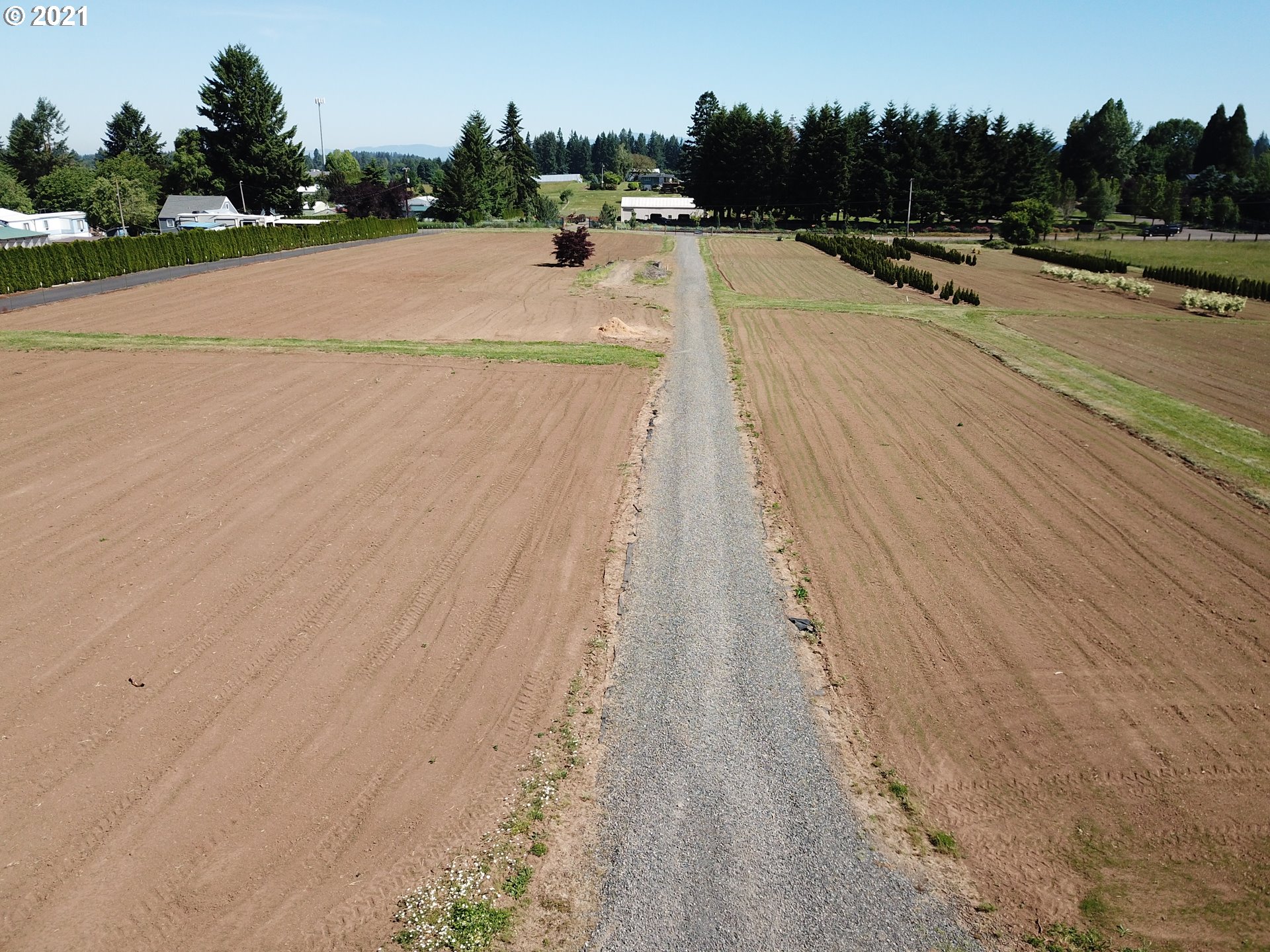 37400 Southeast Hauglum Road Sandy, OR 97055 - Photo 5 of 13 a view of outdoor space with swimming pool and trees in the background