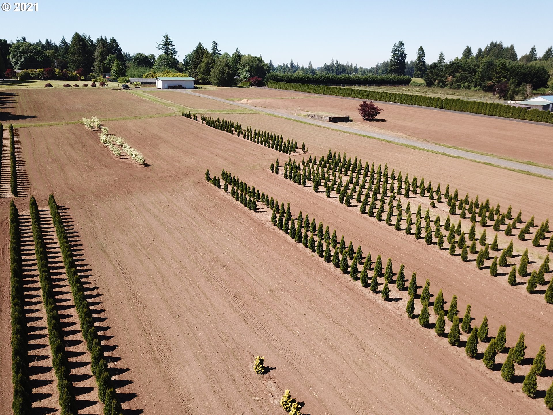 37400 Southeast Hauglum Road Sandy, OR 97055 - Photo 6 of 13 a view of an ocean and city